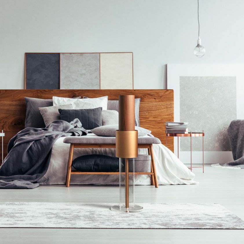 Signature IonFlow – Silent Air Purifier | Buy For €475